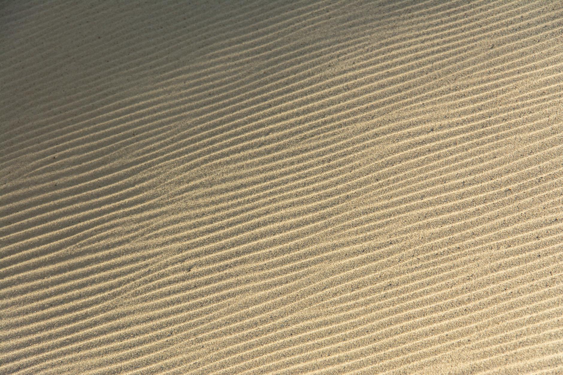 Abstract close-up of rippling sand patterns created by the wind in warm sunlight.