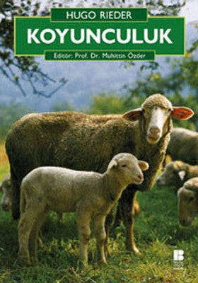 Koyunculuk | Bilge Kültür Sanat