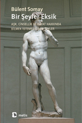 Bir Şeyler Eksik | Metis Yayınları