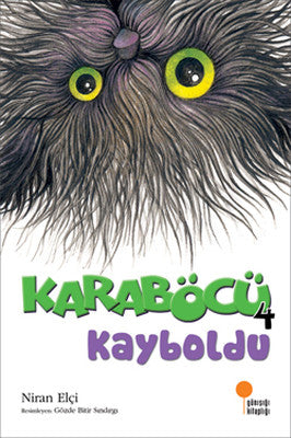 Karaböcü Kayboldu | Günışığı Yayınları