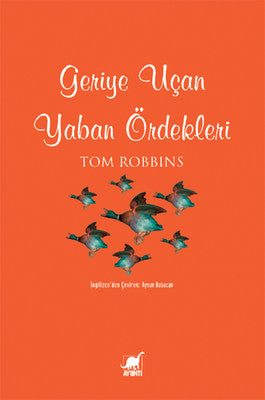 Geriye Uçan Yaban Ördekleri | Ayrıntı Yayınları