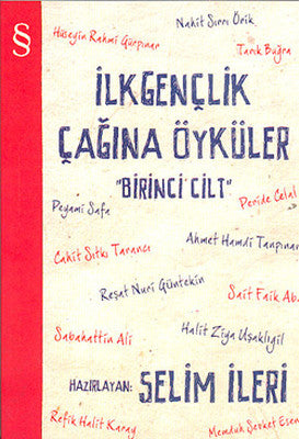 İlk Gençlik Çağına Öyküler - 1. Cilt | Everest Yayınları