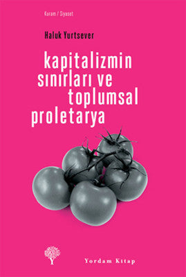 Kapitalizmin Sınırları ve Toplumsal Proletarya | Yordam Kitap