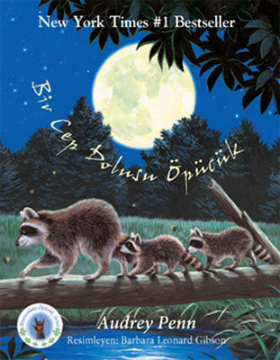 Minik Rakun Bir Cep Dolusu Öpücük | Butik Yayınları