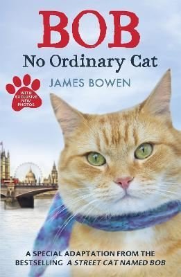 Bob: No Ordinary Cat | Hodder & Stoughton Ltd