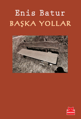Başka Yollar | Kırmızı Kedi