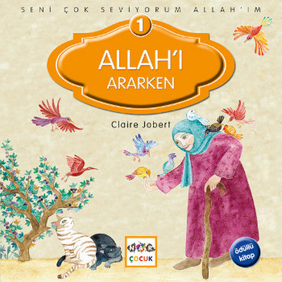 Allah'ı Ararken | Nar Yayınları
