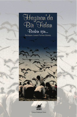 Haziran'da Bir Fidan | Ayrıntı Yayınları