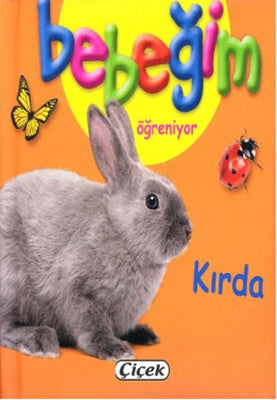 Bebeğim Öğreniyor - Kırda | Çiçek Yayıncılık