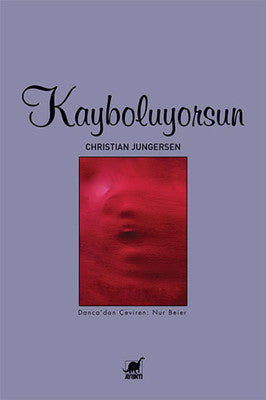 Kayboluyorsun | Ayrıntı Yayınları
