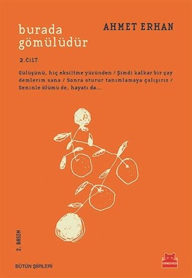 Burada Gömülüdür 2, Cilt | Kırmızı Kedi