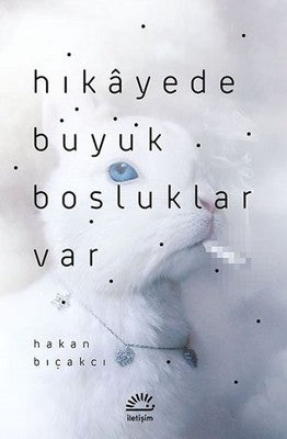Hikayede Büyük Boşluklar Var | İletişim Yayınları