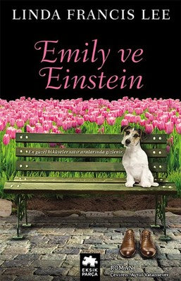 Emily ve Einstein | Eksik Parça