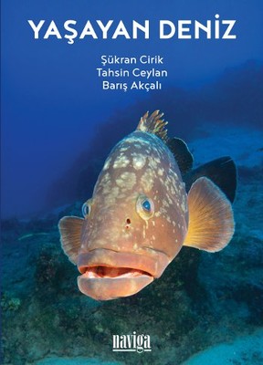 Yaşayan Deniz | Naviga (İnce Kapak)