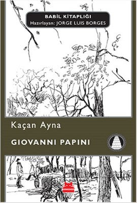 Kaçan Ayna | Kırmızı Kedi