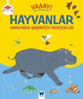 Vaaay! Bunu Bilmiyordum - Hayvanlar Hakkında Şaşırtıcı Gerçekler | Mavi Kelebek