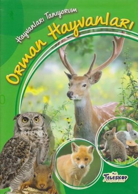 Hayvanları Tanıyorum-Orman Hayvanları | Teleskop Popüler Bilim