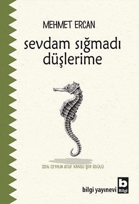 Sevdam Sığmadı Düşlerime | Bilgi Yayınevi (İnce Kapak)
