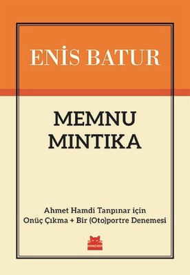 Memnu Mıntıka | Kırmızı Kedi