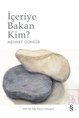 İçeriye Bakan Kim? | Everest Yayınları