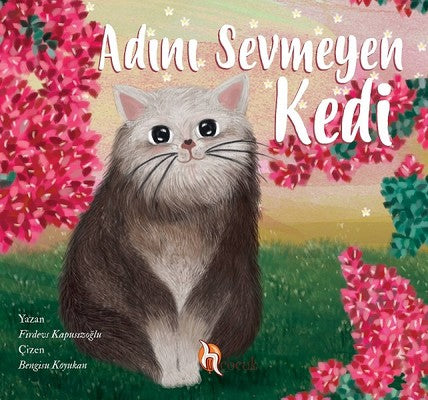 Adını Sevmeyen Kedi | H Yayınları