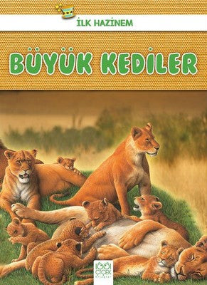 Büyük Kediler-İlk Hazinem | 1001 Çiçek