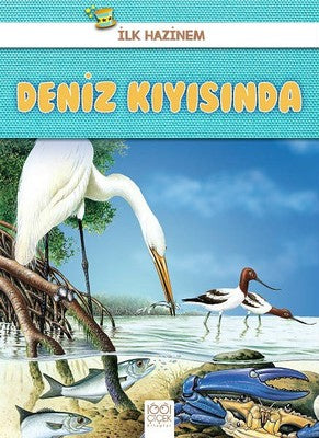 Deniz Kıyısında-İlk Hazinem | 1001 Çiçek