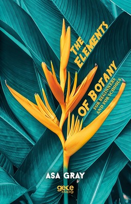 The Elements Of Botany | Gece Kitaplığı
