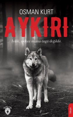 Aykırı | Dorlion Yayınevi