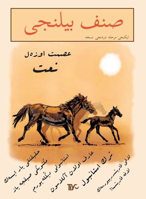 Sınıf Bilinci 2.Merhale 4.Nüsha | Tiyo Yayınları