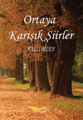 Ortaya Karışık Şiirler | Kitapana