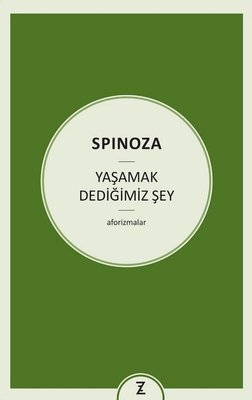 Yaşamak Dediğimiz Şey-Aforizmalar | Zeplin Kitap