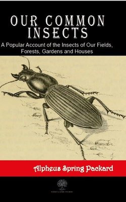 Our Common Insects | Platanus Publishing