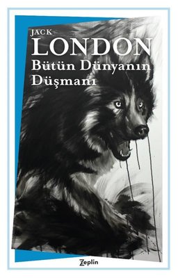 Bütün Dünyanın Düşmanı | Zeplin Kitap