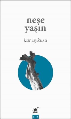 Kar Uykusu | Ayrıntı Yayınları