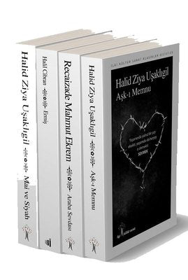 Türk Klasikleri Set 2 - 4 Kitap Takım | İlgi Kültür Yayınları