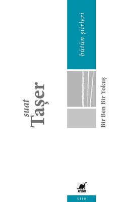 Bir Ben Bir Yokuş - Bütün Şiirleri | Ayrıntı Yayınları