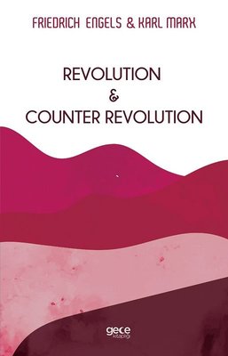 Revolution and Counter Revolution | Gece Kitaplığı