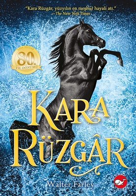 Kara Rüzgar | Beyaz Balina Yayınları