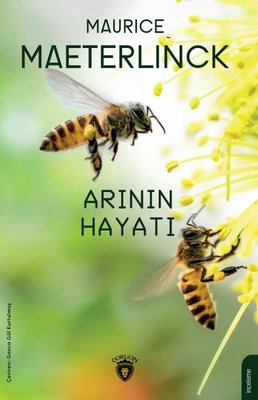 Arının Hayatı | Dorlion Yayınevi