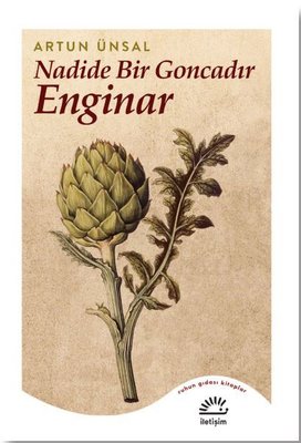 Nadide Bir Goncadır Enginar | İletişim Yayınları
