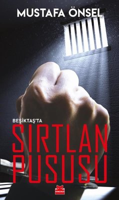 Beşiktaş'ta Sırtlan Pususu | Kırmızı Kedi