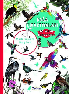 Muhteşem Kuşlar - Doğa Çıkartmaları | Teleskop Popüler Bilim