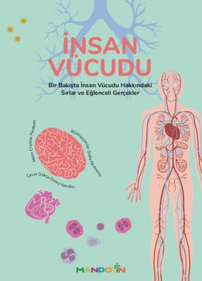 İnsan Vücudu | Mandolin
