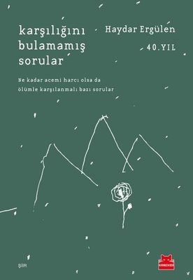 Karşılığını Bulamamış Sorular | Kırmızı Kedi