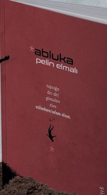 Abluka | Klaros Yayınları