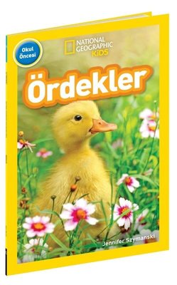 Ördekler - National Geographic Kids - Okul Öncesi | Beta Kids