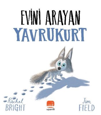 Evini Arayan Yavrukurt | Uçan Fil