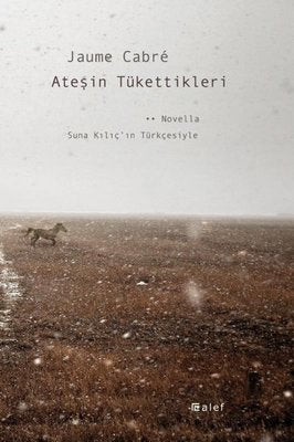 Ateşin Tükettikleri | Alef