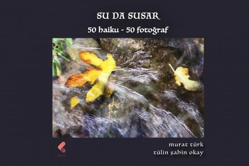 Su da Susar: 50 Haiku-50 Fotoğraf | Klaros Yayınları